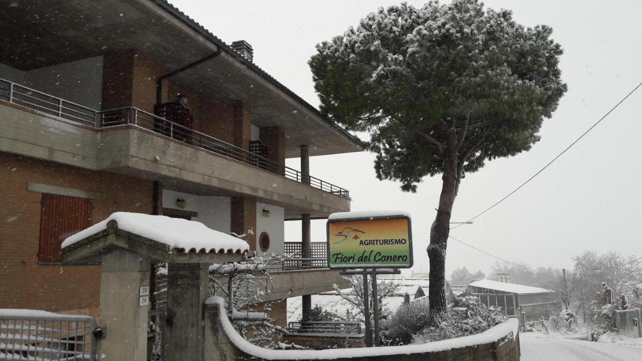 Fiori Del Conero Villa Ancona Eksteriør billede