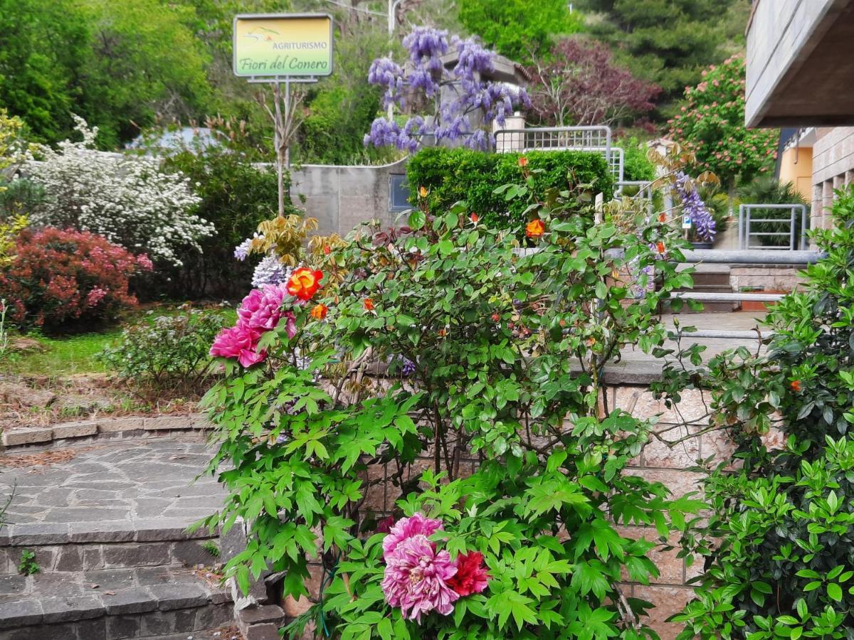 Fiori Del Conero Villa Ancona Eksteriør billede